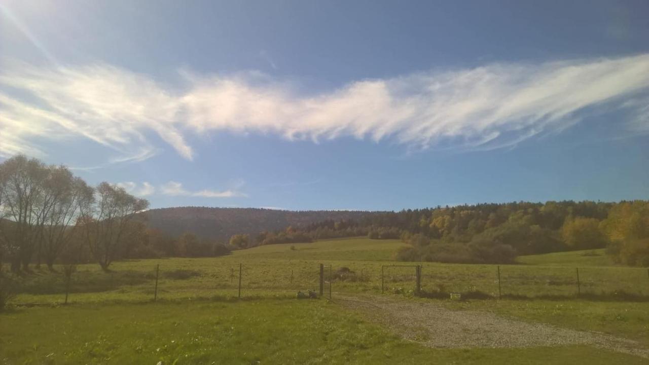 Waszczyszynowka Bieszczady Villa Bandrow Narodowy Exteriör bild