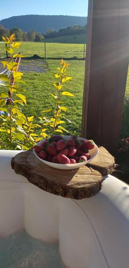 Waszczyszynowka Bieszczady Villa Bandrow Narodowy Exteriör bild
