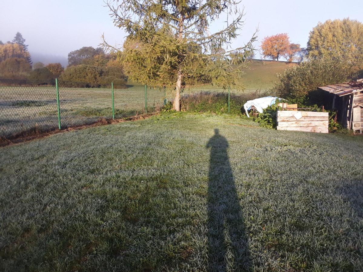 Waszczyszynowka Bieszczady Villa Bandrow Narodowy Exteriör bild
